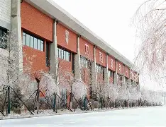 长春亚泰主场失利，状态持续低迷的简单介绍