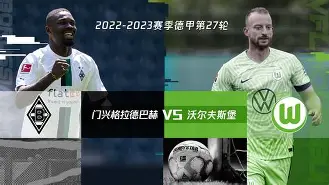 勒沃库森与沃尔夫斯堡的对决即将上演的简单介绍